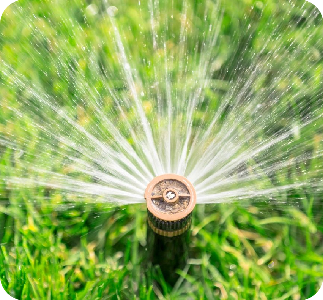 A water sprinkler spraying out of the ground.