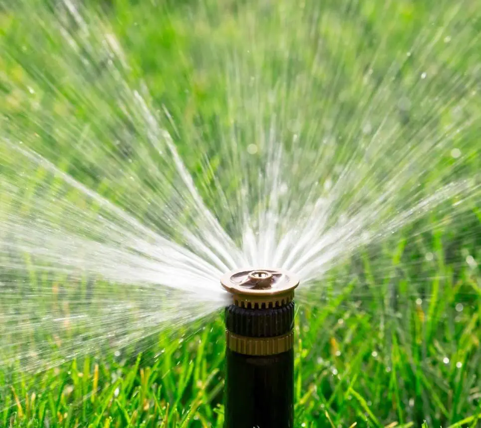 A close up of the spray head on a lawn