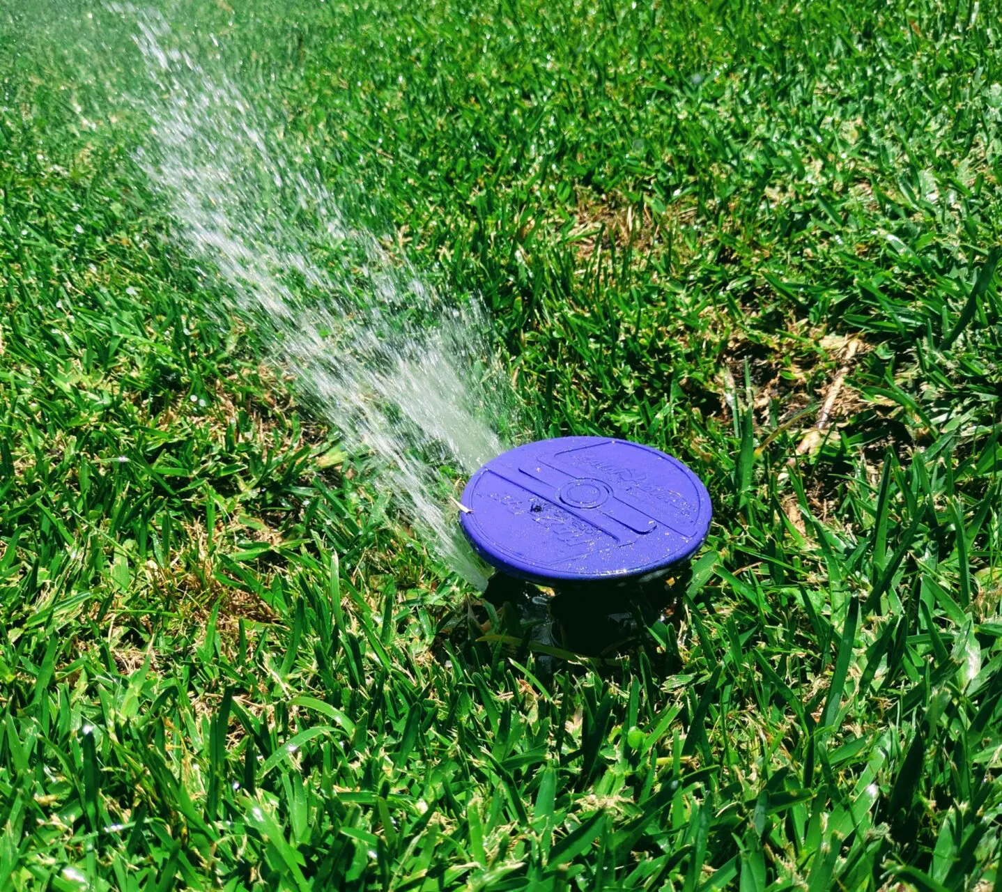 spray 1 spray 1