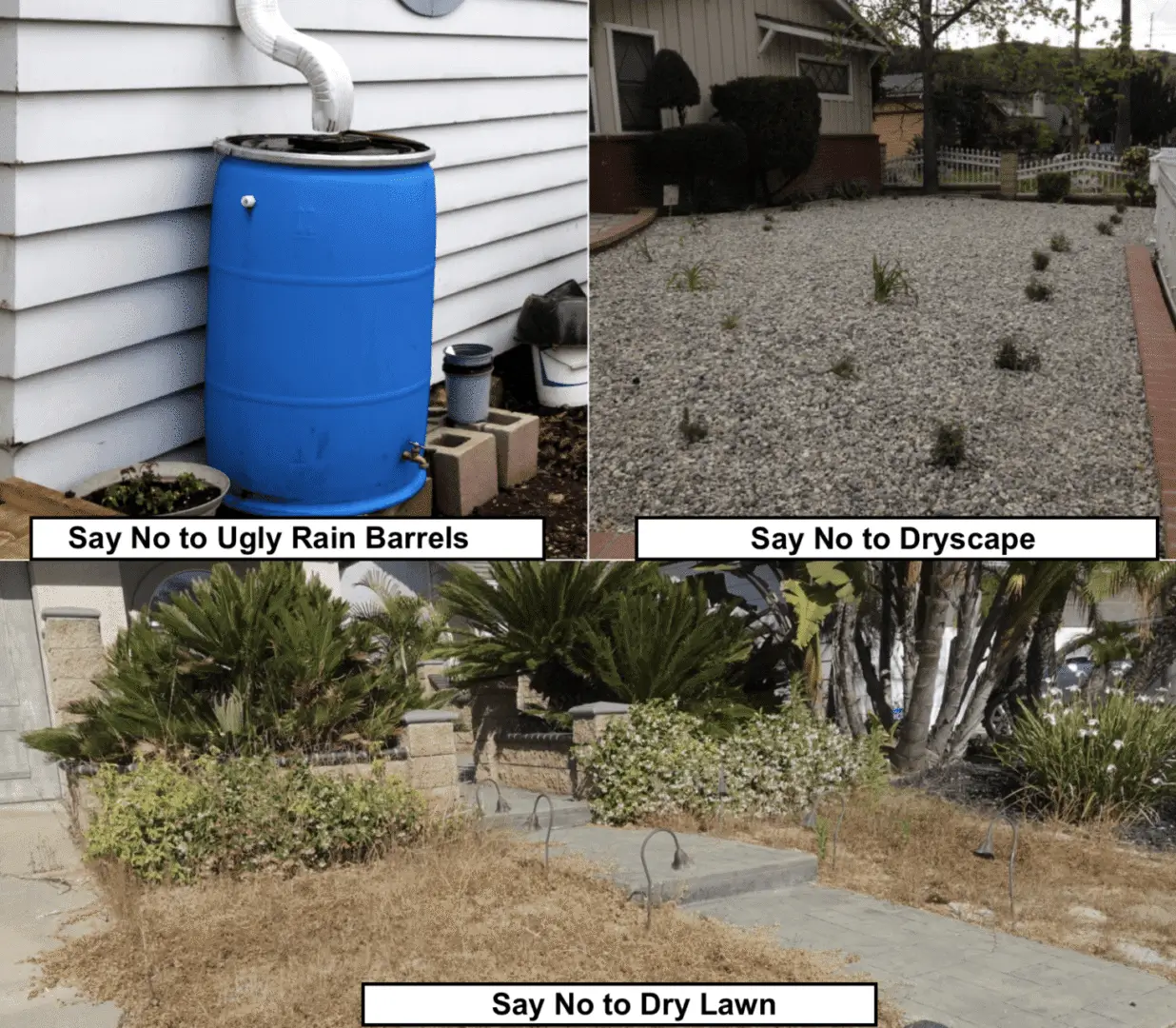 Screenshot-2025-02-02-at-9.11.30 PM